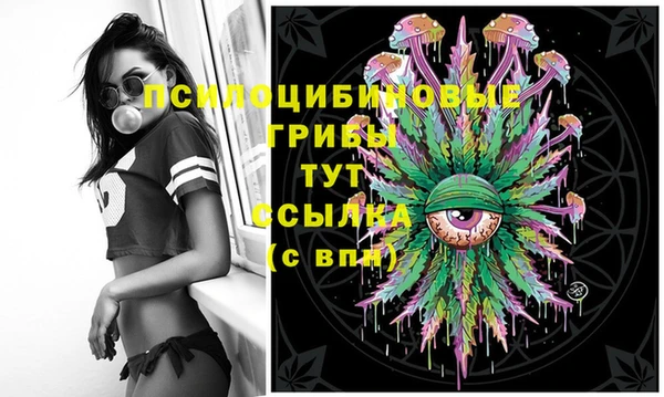 герыч Каменногорск