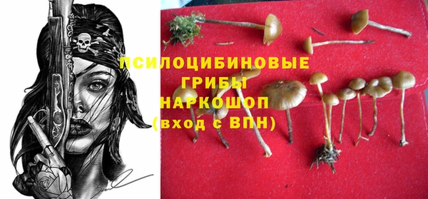 герыч Каменногорск
